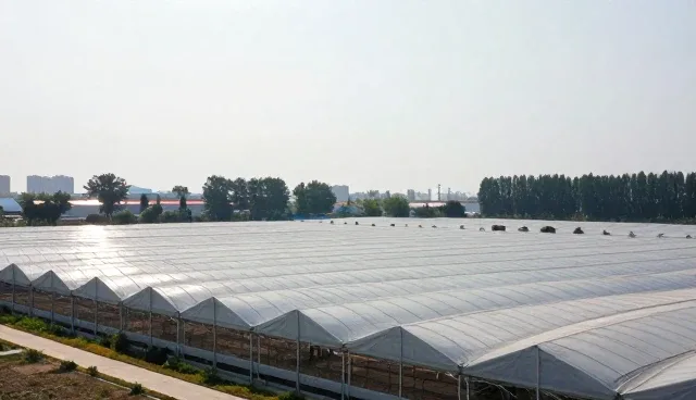 在线咨询如何通过企业展示提升业务转化率